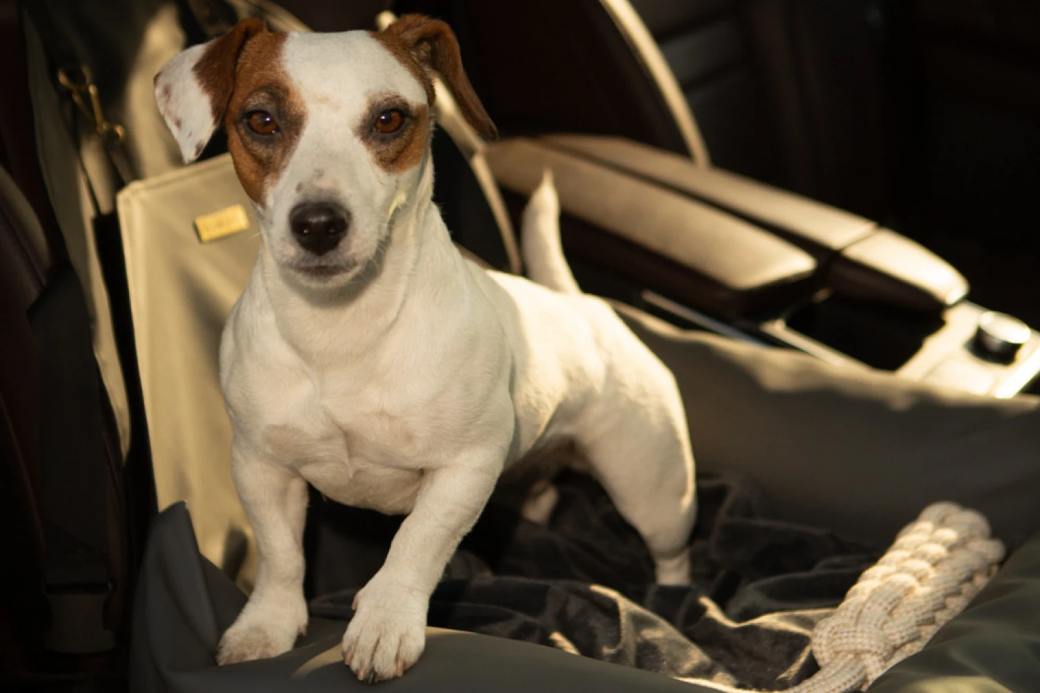 Ford Edge Dog Car Seat for Australian Terriers