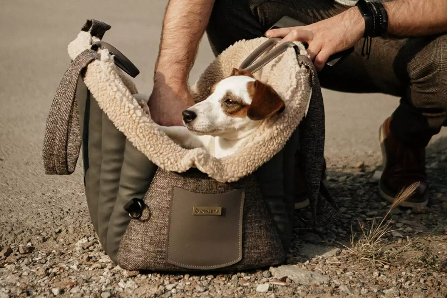 Toy Poodle Dog Carrier Car Seat for Ford Transit