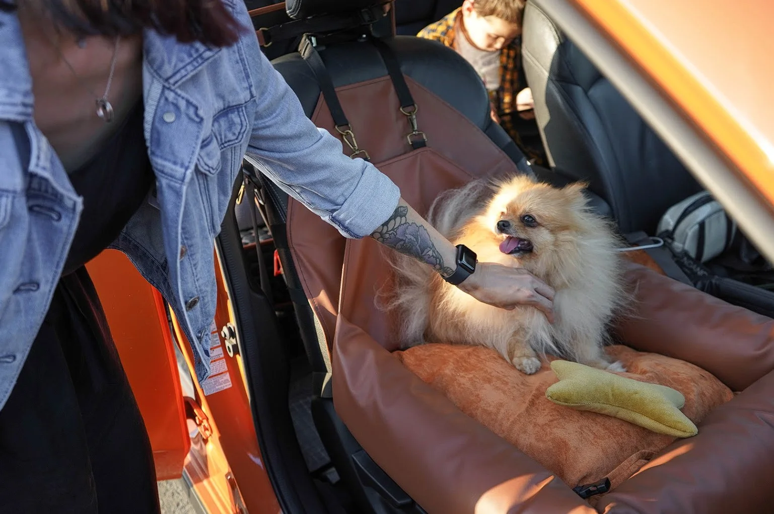 Ford Edge Dog Car Seat for Australian Terriers