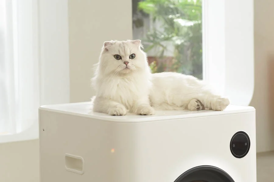 pet safe scoopfree litter box